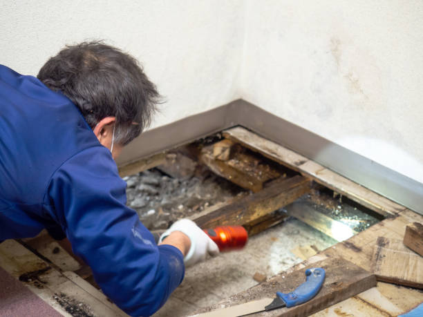Best Water Damage Restoration  in Granby, CO