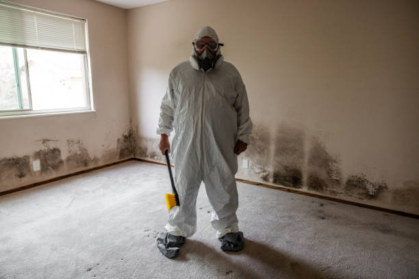 Mold Testing and Removal in Granby, CO