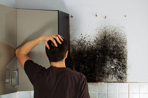 Best Office Mold Removal Services  in Granby, CO